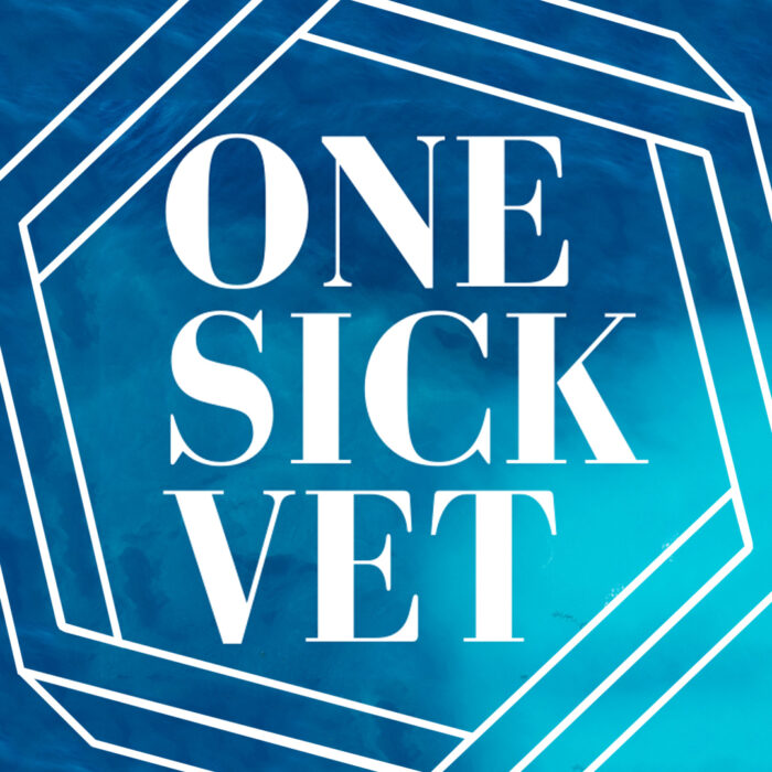 Graphic of block text that reads "One Sick Vet" over a watercolor blue background, framed with a stylized white hexagon.